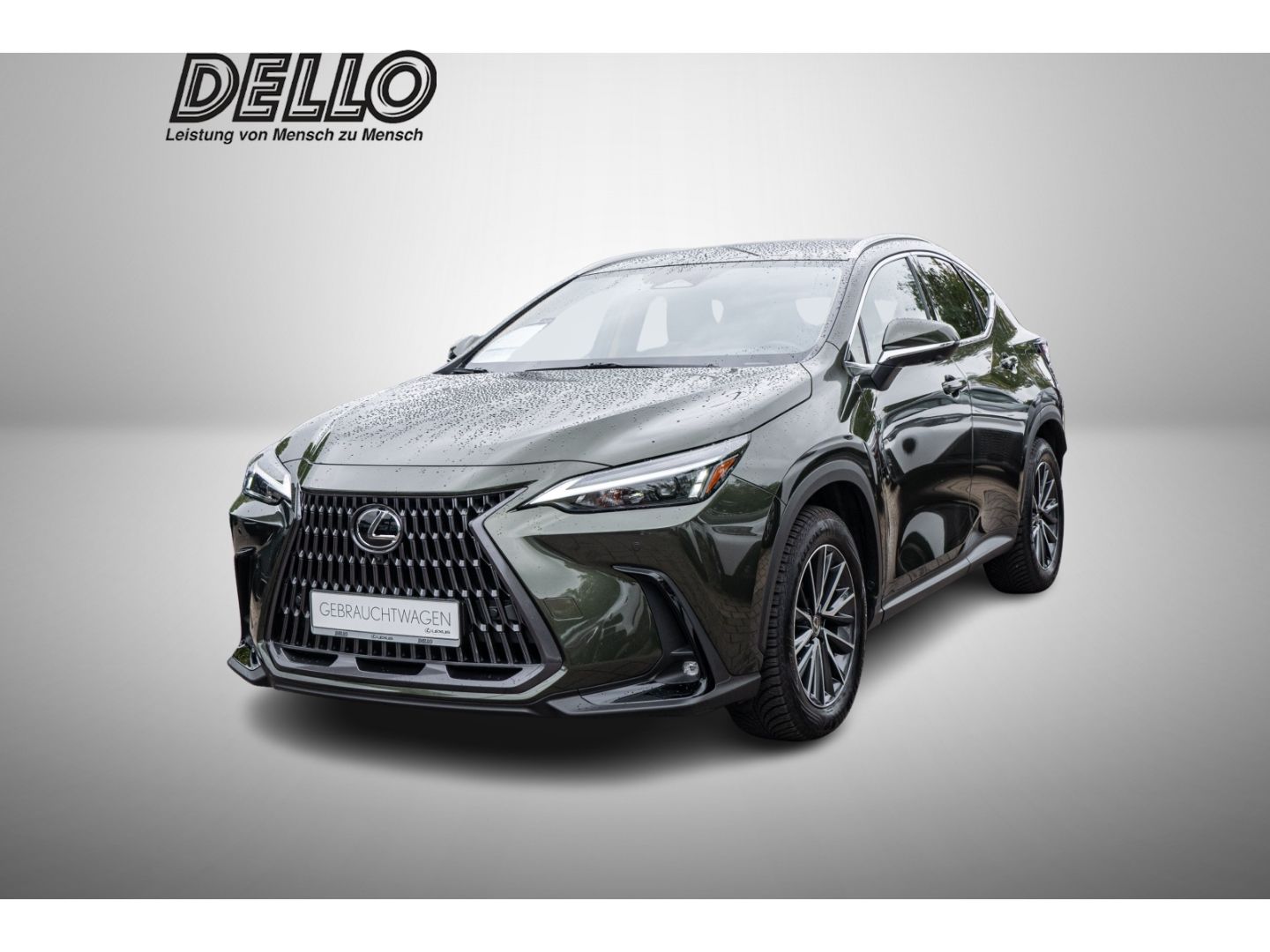 Lexus NX 450h + Executive Interieur Paket AHK Ganzjahre 2023
